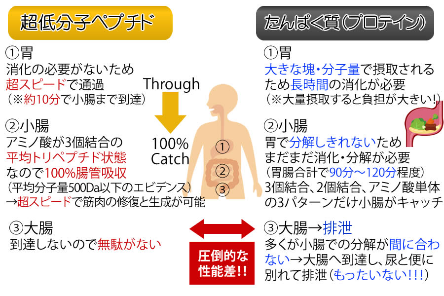 副腎不全による低血糖の治療法は何ですか?